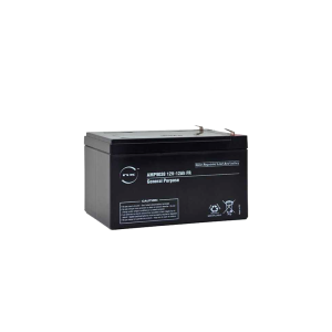 Batterie plomb AGM NX 12-12 Général Purpose FR 12V 12Ah F6.35
