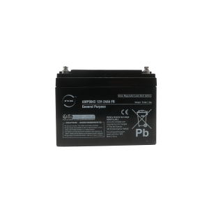 Batterie plomb AGM NX 24-12 General Purpose FR 12V 24Ah M5-F