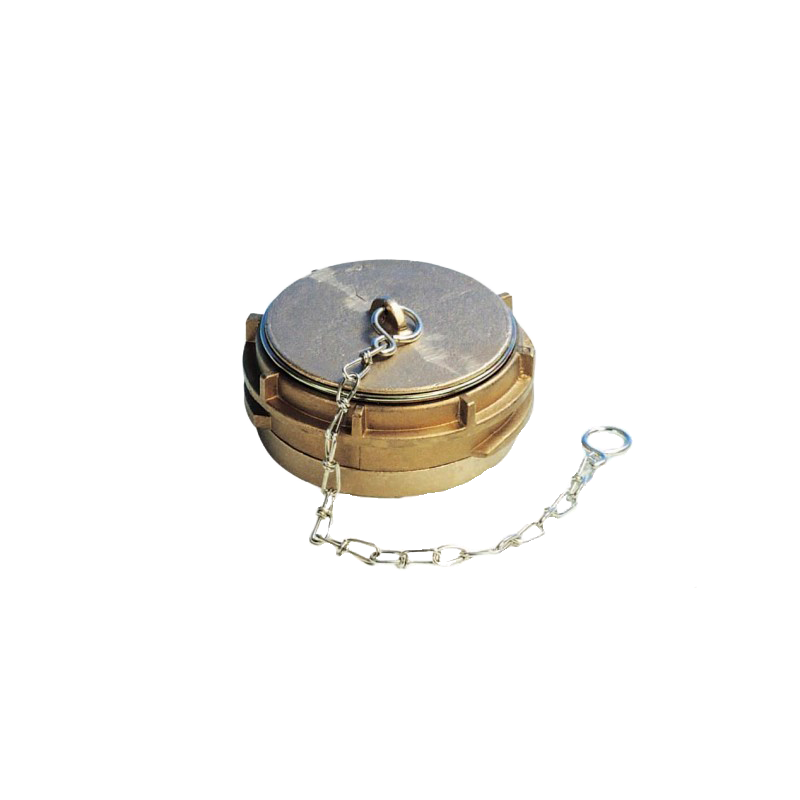 Bouchon à joint plat bronze DN100