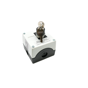 Bouton de réarmement à clé 2 positions